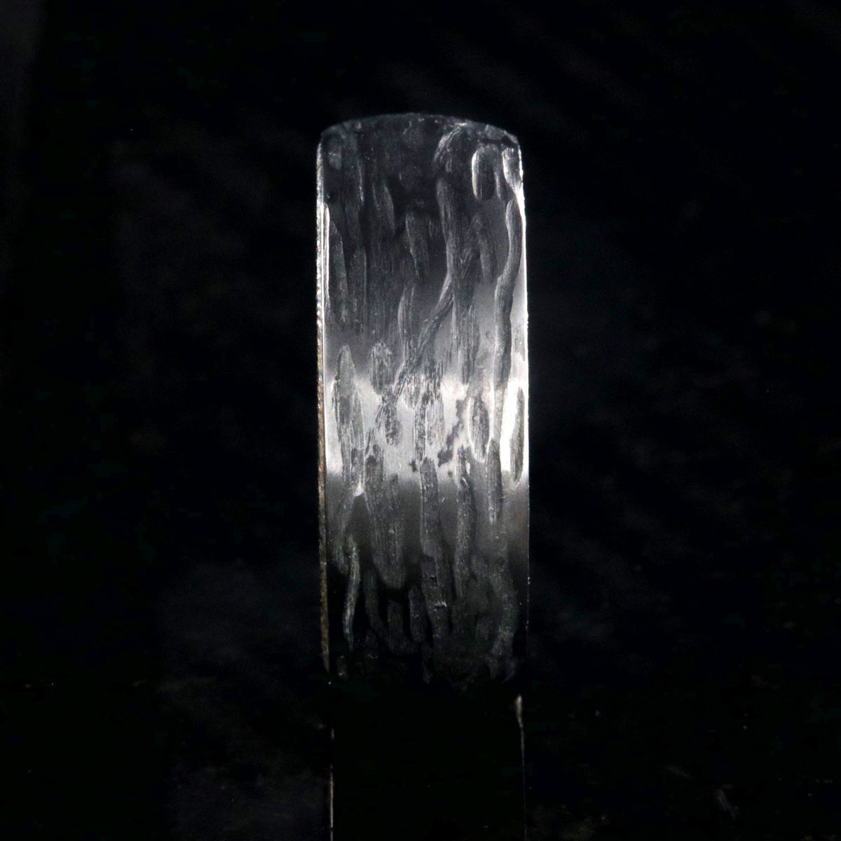 8mm wide black zirconium wedding band with a tree bark finish and bloodwood sleeve