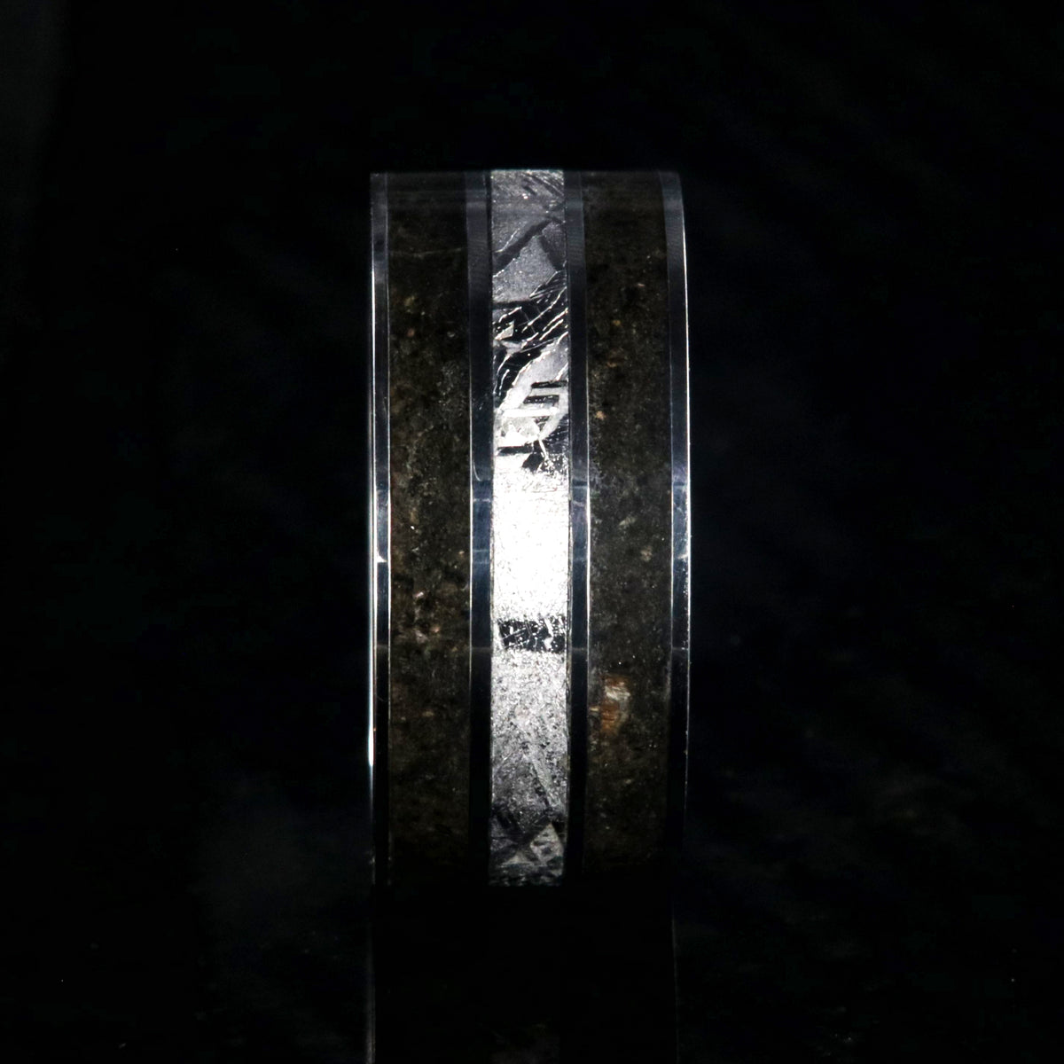 10mm wide dinosaur bone ring with meteorite inlay and cobalt sleeve