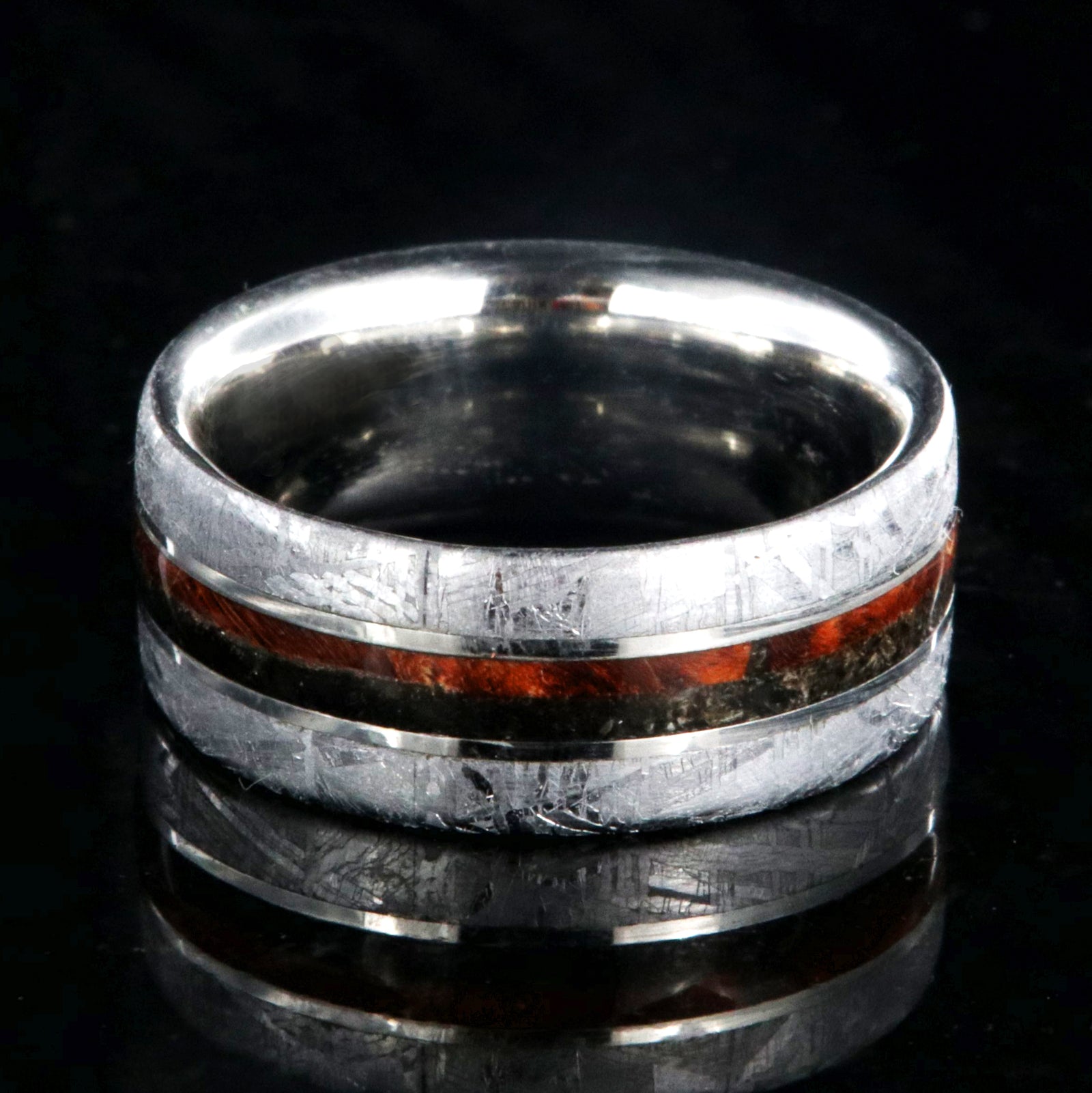8mm wide flat profile meteorite ring with dinosaur bone and red box elder wood burl