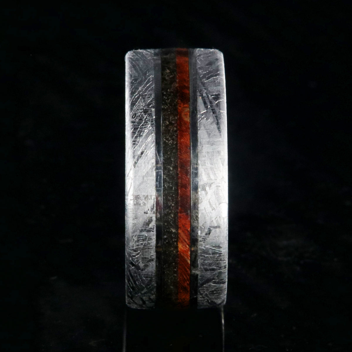 8mm wide flat profile meteorite ring with dinosaur bone and red box elder wood burl