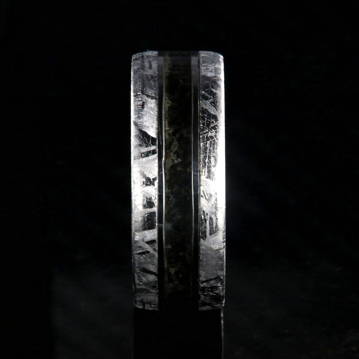 8mm wide cobalt ring with meteorite edges and dinosaur bone center inlay