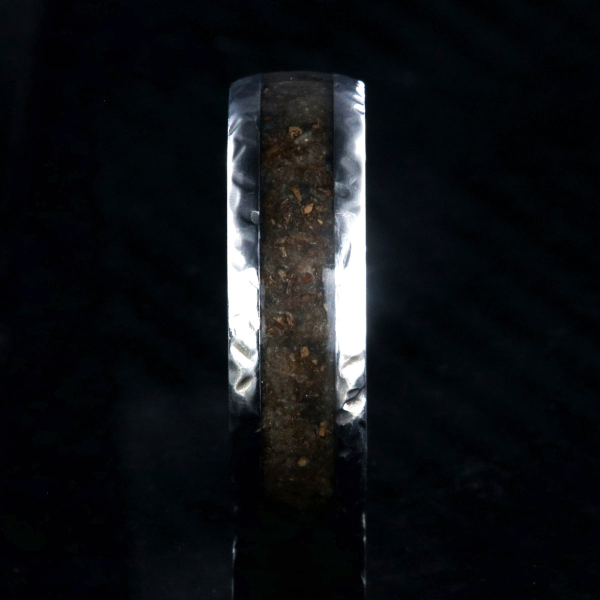 8mm wide titanium ring with hammered edges and a 4mm wide dinosaur bone inlay