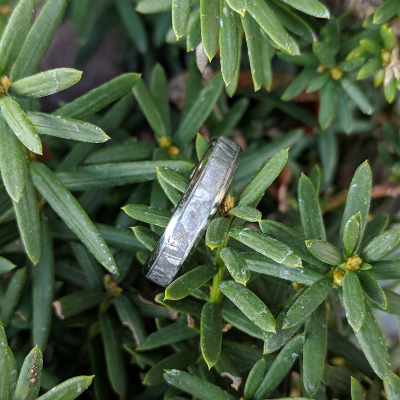 4mm wide women&#39;s meteorite wedding band with a rounded profile and titanium edges and sleeve