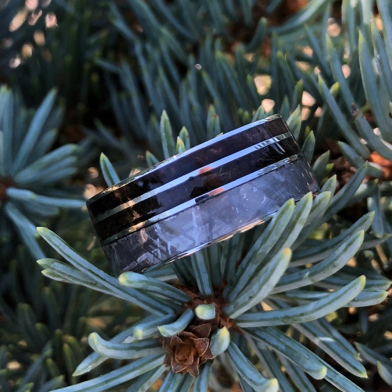10mm wide men&#39;s wedding band with half of the ring covered in Gibeon meteorite and the other half is a double Tyrannosaurus rex fossil inlays