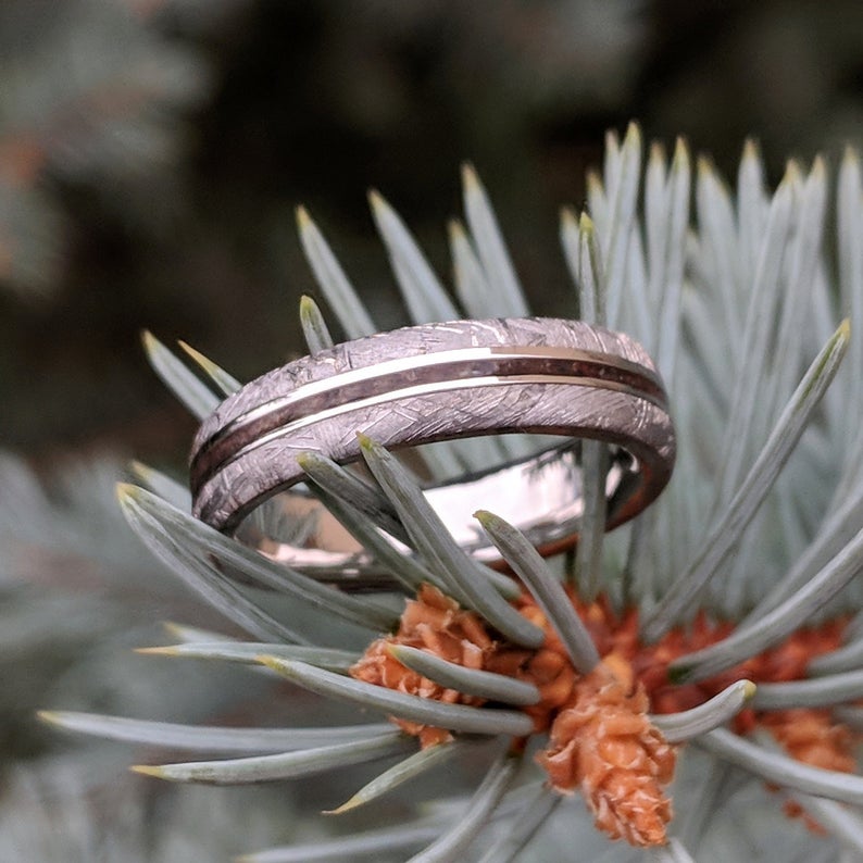 5mm wide Gibeon meteorite wedding band with a dark dinosaur bone inlay
