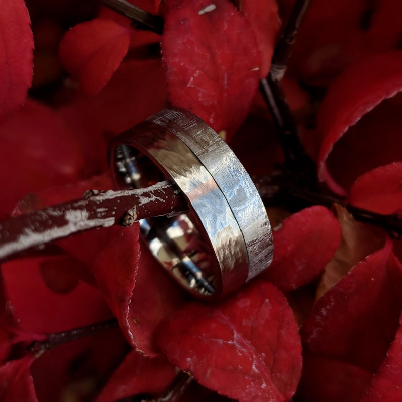 8mm wide meteorite wedding band with half of the ring covered in Gibeon meteorite and the other with a tree bark finish on the cobalt half