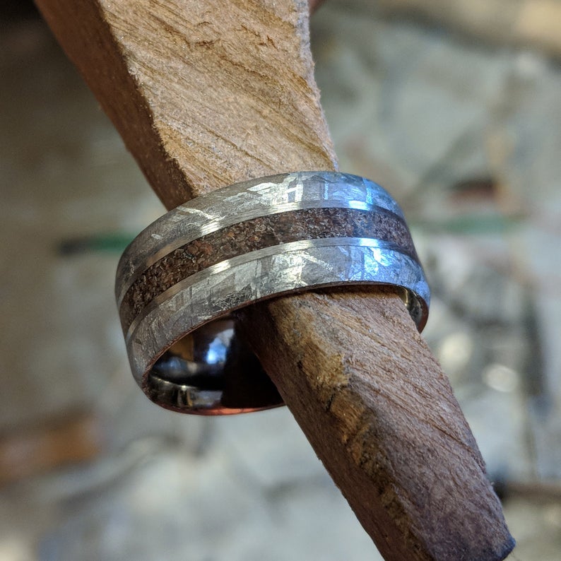 9mm wide cobalt wedding band with meteorite edges and beveled edges with Tyrannosaurus rex bone inlay