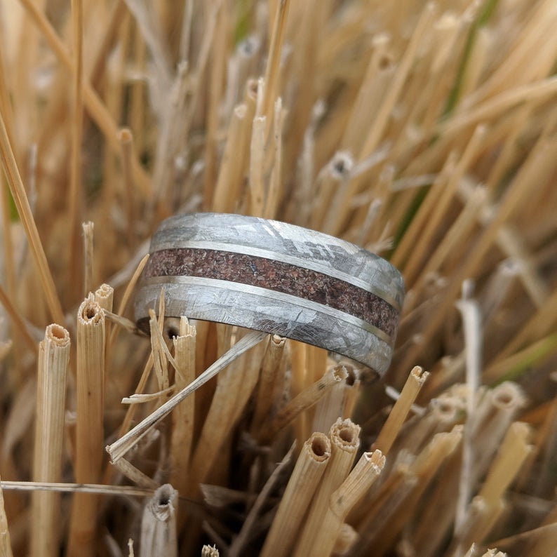 9mm wide cobalt wedding band with meteorite edges and beveled edges with Tyrannosaurus rex bone inlay