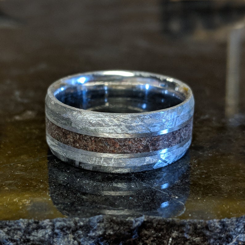 9mm wide cobalt wedding band with meteorite edges and beveled edges with Tyrannosaurus rex bone inlay