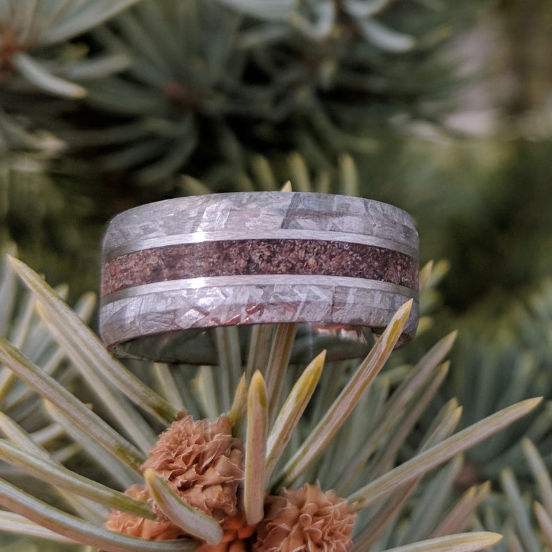 9mm wide cobalt wedding band with meteorite edges and beveled edges with Tyrannosaurus rex bone inlay