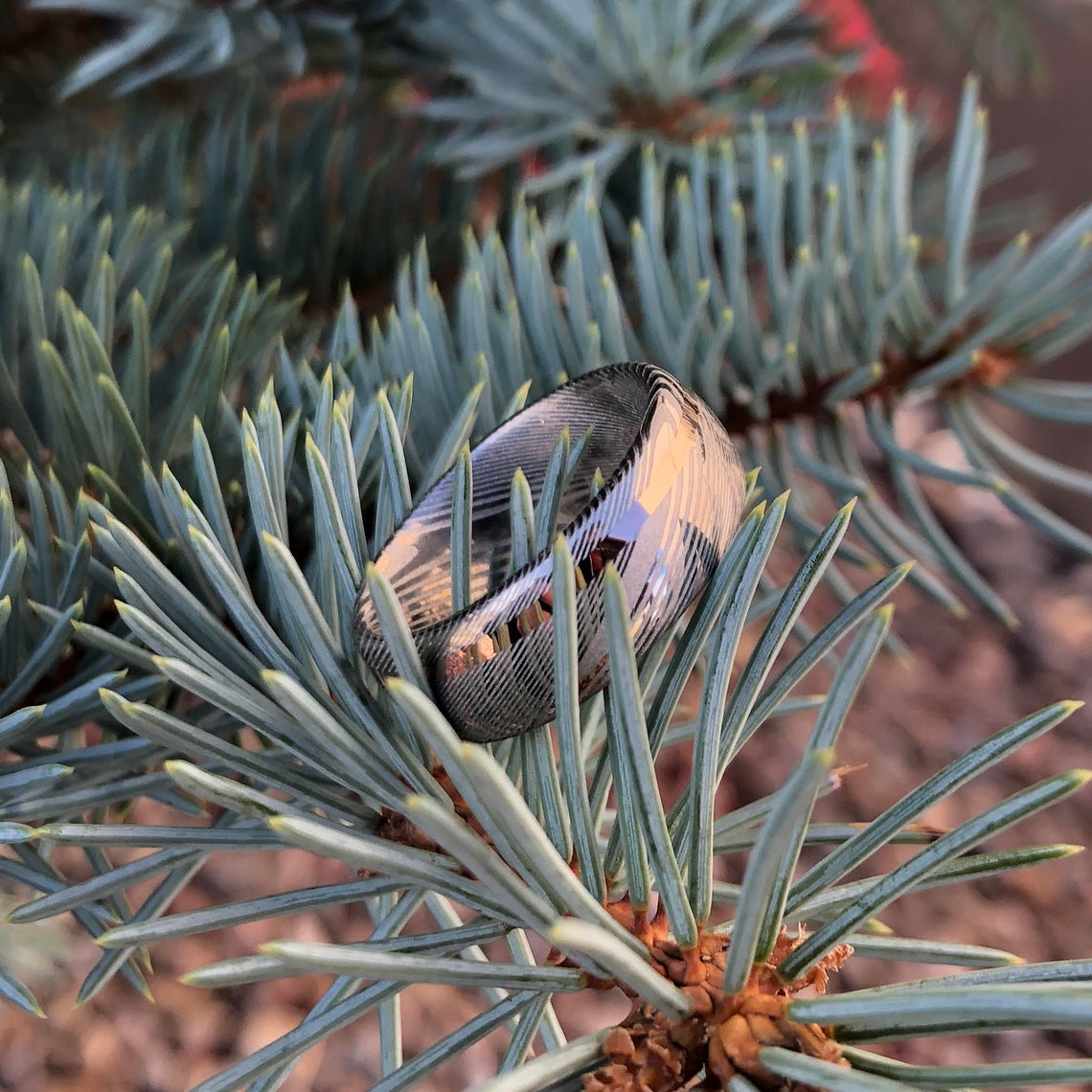 8mm wide white Damascus steel ring with an off-centered rose gold inlay and rounded profile