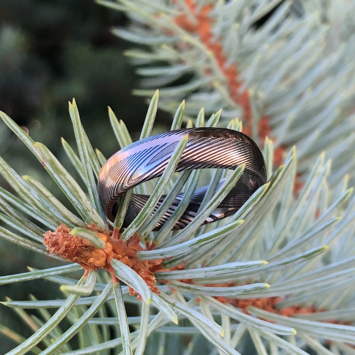 6mm wide Damascus steel ring with an off-centered rose gold inlay